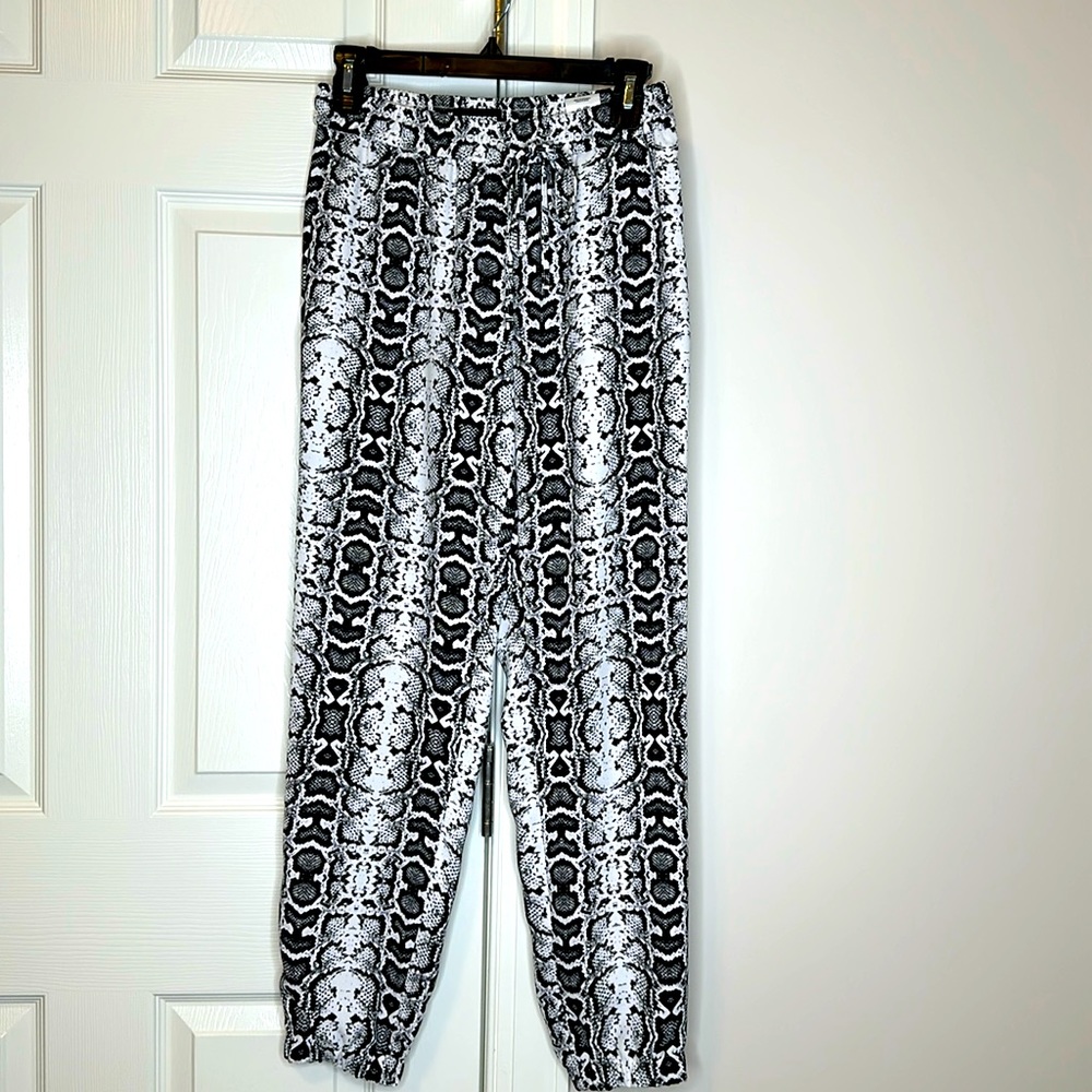 Express pants